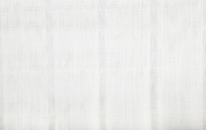ZEN 01 #300